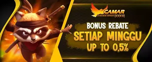Cashback Mingguan hingga 0.5% untuk Pemain VIP promotion banner